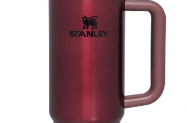 Grab a Stanley 30oz Tumbler for $35! Great Gift Idea!